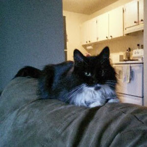 Meet your Posher, Mya